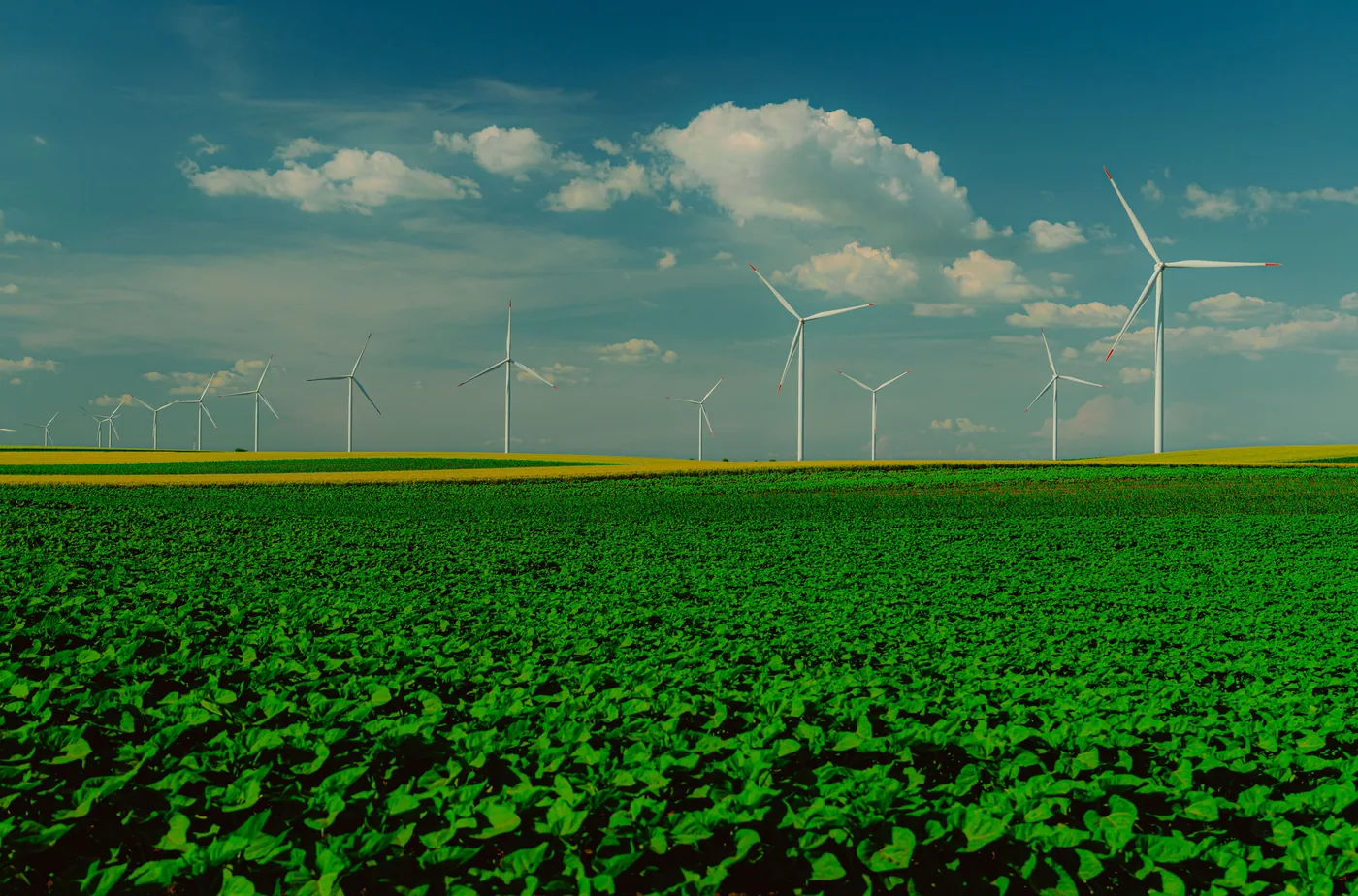Wind turbines generating renewable energy across an open natural landscape